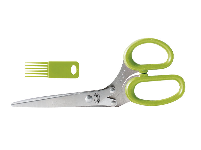 Ciseaux "cisachoir" Locau 21.5 cm inox + peigne